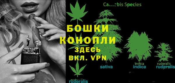 кокаин колумбия Белокуриха