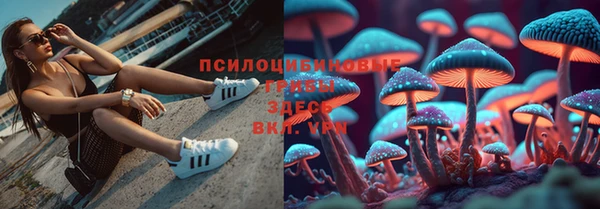 кокаин колумбия Белокуриха