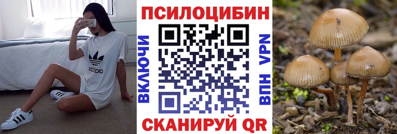 Галлюциногенные грибы мицелий Покровск